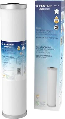 Pentair OMNIFilter PB55-20 Carbon Water Filter 20-Inch Whole House Premium He... - Image 1 of 4