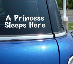 A PRINCESS SLEEPS HERE DECAL STICKER BEDROOM CHILD CHILDREN BABY BED ROOM GIRL - Picture 1 of 3