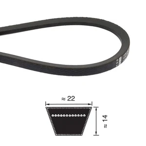 CINGHIA 22X1600 C63 TRAPEZOIDALE PIX - Imagen 1 de 1