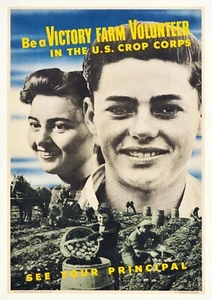 11450. Dekorationsplakat. Zimmerinnenraum. Hauswandkunst. US-Ernte Corp. Farm Freiwilliger - Bild 1 von 1