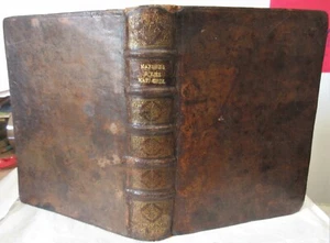 BRUNEAU OBSERVATIONS & MAXIMES SUR LES MATIERES CRIMINELLES 1715 EO DROIT ANCIEN - Imagen 1 de 12