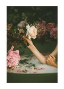 Poster Rosa Blumen Druck Modern Natur Wandeinrichtung Druck Wall Art Fleurs - Bild 1 von 17