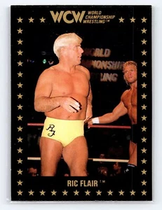 1991 Championship Marketing WCW #39 Ric Flair - Picture 1 of 2