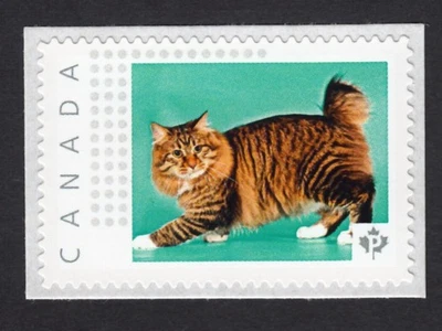 AMERICAN BOBTAIL CAT = Picture Postage stamps = MNH Canada 2015 [p15-06-ct1/5] - Image 1 of 2