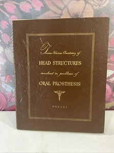 Vintage Head Structures & Oral Prosthesis, Dentist Trans-Vision Wernet 1960-1970 - Imagen 1 de 14