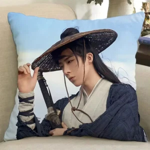 Chinese A Journey to Love Liu Yuning Bedroom Cushion Pillow - Picture 1 of 4