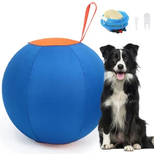 Dogs Herding Ball 45cm Dia. Large Ball With Air Pump For Play Hurding Ball - Picture 1 of 10