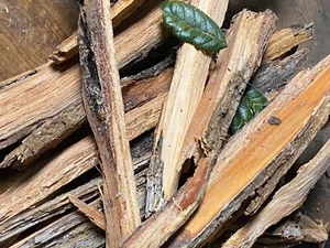 Kindling-Pine fat-lighter ..Wood 🔥 Starter Fatlighter Camping/Survival - Picture 1 of 3