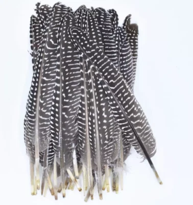 50pcs Black White Spotted Guinea Fowl Feathers 15-22cm DIY Craft Art Millinery - Image 1 of 4