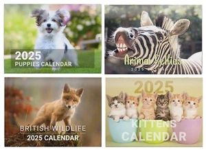 2025 Calendar Large Month to View Family Home Planner Funny Animals Wall - Picture 1 of 31