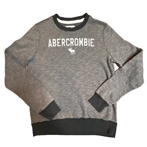 Abercrombie Kids Youth SZ 13/14 Gray Logo Crew Neck Sweatshirt Street Style - Picture 1 of 7