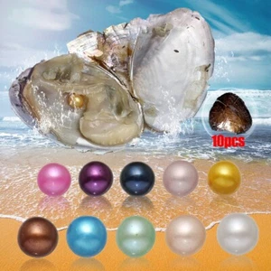 10x Bulk Natural Freshwater Akoya Pearl Oysters Real Pearl Bulk w/ Large Pearls - Picture 1 of 9