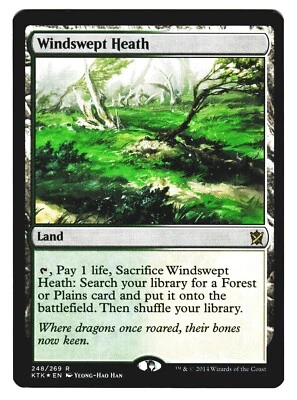 Magic The Gathering MTG  Khans of Tarkir KTK 2014 - #248 Windswept Heath FOIL x1 - Image 1 of 4