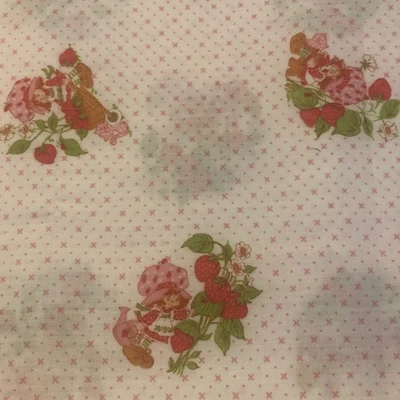 Tela de algodón vintage Strawberry Shortcake 44 X 43 American Greetings 1980 Foto 1 de 4