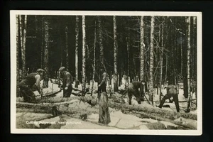 Canada real photo postcard RPPC Newfoundland Cutting Pulpwood lumber industry - Picture 1 of 2