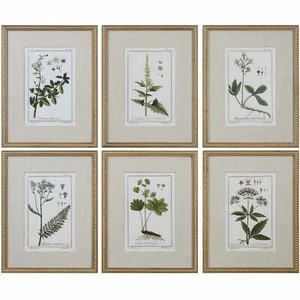 Uttermost 33651 Green Floral Botanical Study Framed Art Prints Set of 6 - Picture 1 of 2