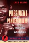 President of Pandemonium: The Mad World Of Ike Ibeabuchi by Luke G Williams: New