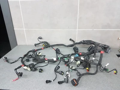 Ducati Monster 1200 Base 2016 Foto 1 de 4