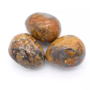 Timor Tiger Jasper 3x Tumbled Stones 25x35mm - Picture 1 of 2