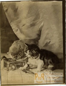 Germany Jules Adam Painting The taste Cats Sardines Old Photo 1880 - Picture 1 of 3