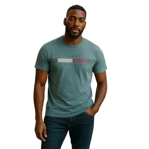Tommy Hilfiger Tee Shirt Men Size Small Grey Beach Skate Solid Logo - Picture 1 of 9