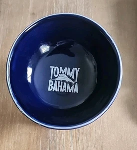 Tommy Bahama Raised Elevated Small Stonewear Pet Bowl Dish Navy Blue New - Picture 1 of 9