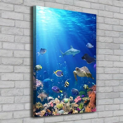 Leinwand-Bild Kunstdruck Hochformat 70x100 Bilder Korallenriff - Bild 1 von 4