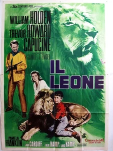 cm.140x200-DER LÖWE-HOLDEN-CAPUCINE-ABENTEUER AFRIKA-N16-4 - Bild 1 von 1