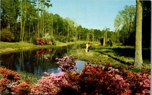 Vintage Mississippi MS Postcard Lagoon Beauvoir Jefferson Davis Shrine Biloxi  - Bild 1 von 4