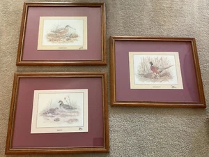 Dekorator Vogelwachtel, Fasan & Holzhahn Audubon gerahmt & mattiert Kunst 3-teiliges Set. - Bild 1 von 8
