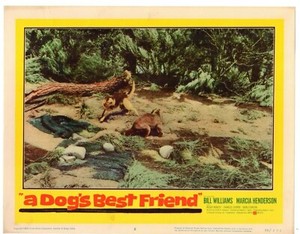 BILL WILLIAMS MARCIA HENDERSON A DOG'S BEST FRIEND ORIG 11X14 LOBBY CARD LC4133