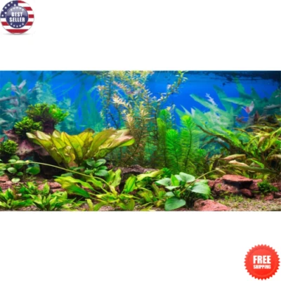 48"X24" Aquarium Background Aquatic Plant River Bed & Lake Fish Tank Background - Image 1 of 4