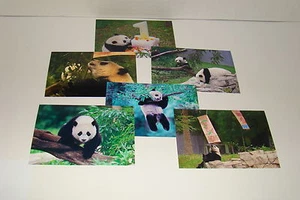 BAO BAO The Panda Bear Cub #19 - Picture 1 of 1