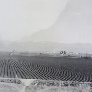 Bewässerte Feldfrüchte Bauernhof ländliches Landhaus Vintage Schwarzweiß Foto  - Bild 1 von 4