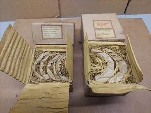 Vintage NIB Main Bearing Set 1949 - 1953 Flathead V8 at .020 - Picture 1 of 10