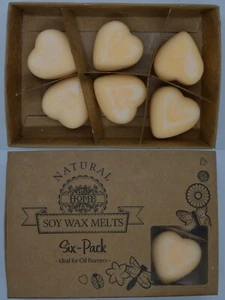 Luxury Orange and Cinnamon Scented Soy Wax Melts for Oil Burners Gift Box Set - Picture 1 of 1
