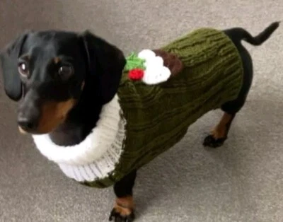Miniature Dachshund Jumper - Handmade - Christmas Pudding Jumper - New  - Image 1 of 3