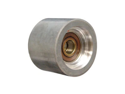 Polea tensora de correa de transmisión Dayco 91358WRJS para Orion Bus Orion V 2000 Foto 1 de 2