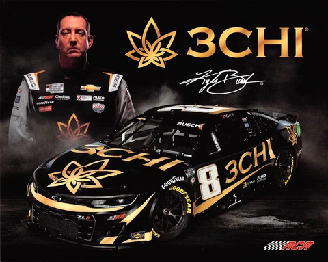 2023 - KYLE BUSCH #8 3 CHI CHEVROLET / RCR RACING NASCAR CUP SERIES POSTCARD Cover