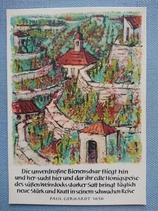 alte Ansichtskarte Postkarte Spruchkarte Paul Gebhardt Weinstock Reben Weinberg - Bild 1 von 2