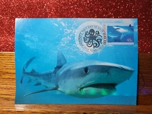First Day Cover Postcard📮 1995 (45c) Tiger Shark 📮 Townsville QLD - Photo 1/2