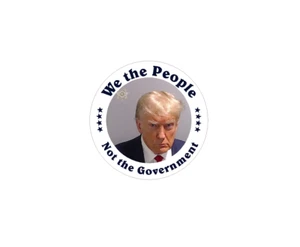 We the People (F18) Not The Government Trump Mugshot Vinyl Decal Air Release - Bild 1 von 3