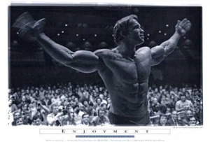 66607 Arnold Schwarzenegger Movie Wall Decor Print Poster - Picture 1 of 7