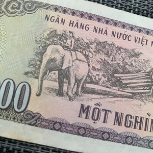 Vietnam 1000 Dong Banknote 1991 Vietnamese Currency Ho Chi Minh Elephants - Picture 1 of 4