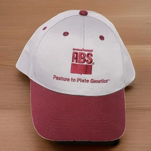 ABS Weide auf Teller Genetik Mütze Kappe grau Strapback gebraucht Erwachsene Werbung - Bild 1 von 11