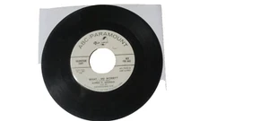 "WHAT -ME WORRY?" "POTREZEBIE" Alfred E. Neuman ABC Paramount 45 - Picture 1 of 2