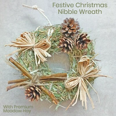 NATURE'S GOODIES Christmas Wreath Hay Treat Pet Chew Toy Boredom Breaker for Rabbits Guinea Pigs