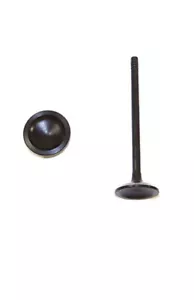 EV3138 Engine Intake Valve-VIN: S, DOHC, Eng Code: LL8, Valve DNJ EV3138 - Picture 1 of 9