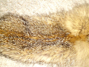 Echter Pelzkragen. Fuchs. 56 cm lang. 15 cm breit,aufgeknöpft.