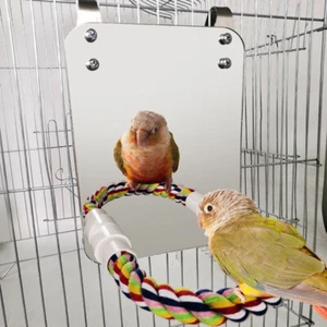 Stainless Steel Bird Mirror Toy with Rope Perch Standing Bar Parrot Parakeet Toy - Picture 1 of 11